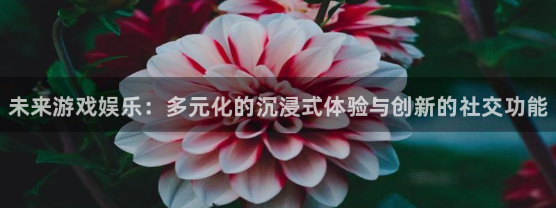 赢咖娱乐在线登录：未来游戏娱乐：多元化的沉浸式体验与创新的社