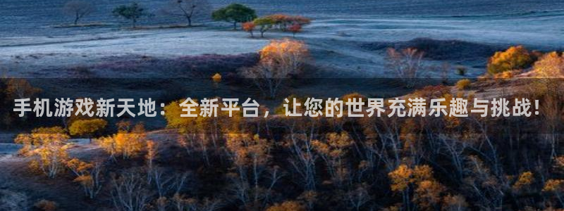 赢咖娱乐注册：手机游戏新天地：全新平台，让您的世界充满乐趣与