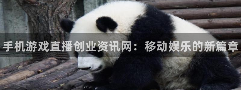赢咖娱乐网页登录入口：手机游戏直播创业资讯网：移动娱乐的新篇