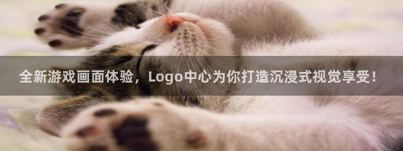 赢咖娱乐平台登录线路：全新游戏画面体验，Logo中心为你打造