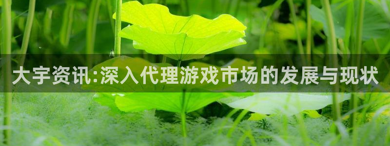 赢咖娱乐是什么：大宇资讯:深入代理游戏市场的发展与现状