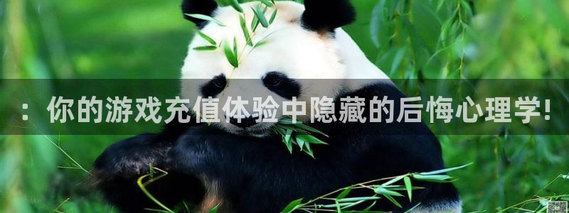 赢咖娱乐官方注册登录：：你的游戏充值体验中隐藏的后悔心理学!