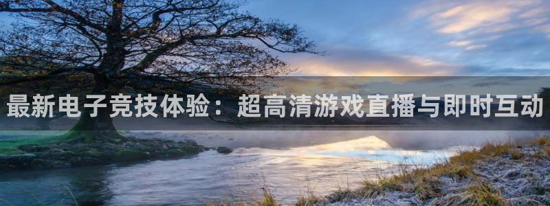 赢咖娱乐直属：最新电子竞技体验：超高清游戏直播与即时互动