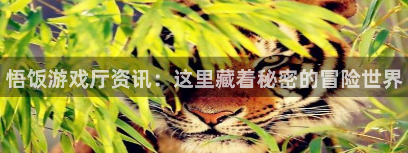 赢咖娱乐测速：悟饭游戏厅资讯：这里藏着秘密的冒险世界