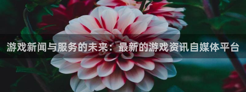 赢咖娱乐测速：游戏新闻与服务的未来：最新的游戏资讯自媒体平台