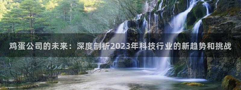 赢咖娱乐登录：鸡蛋公司的未来：深度剖析2023年科技行业的新